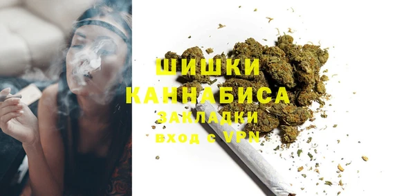 2c-b Горнозаводск