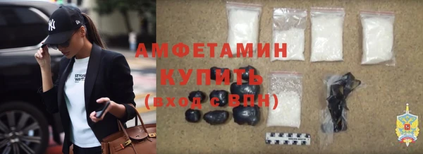 амф Вяземский