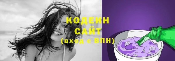 амф Вяземский