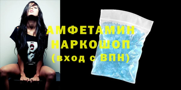 шишки Горно-Алтайск