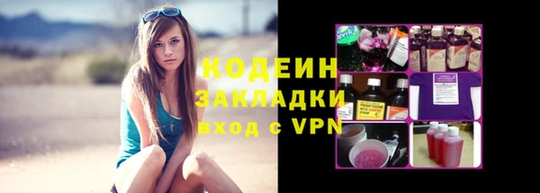 амф Вяземский