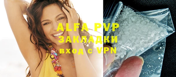 шишки Горно-Алтайск