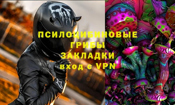 2c-b Горнозаводск