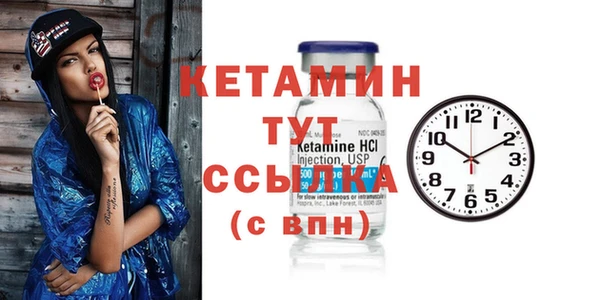 шишки Горно-Алтайск